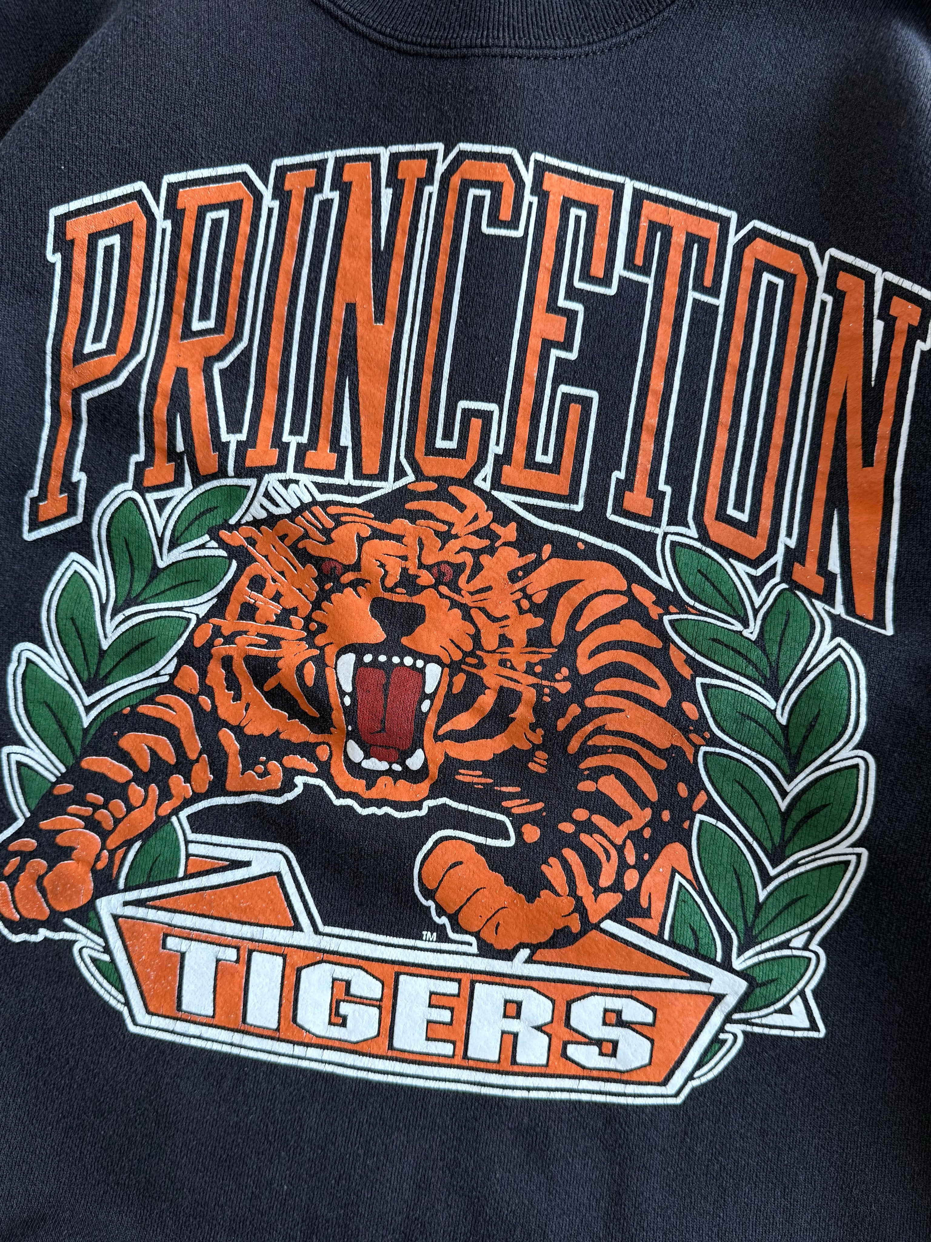 Vintage 1990s Princeton TigersSweatshirt (L)