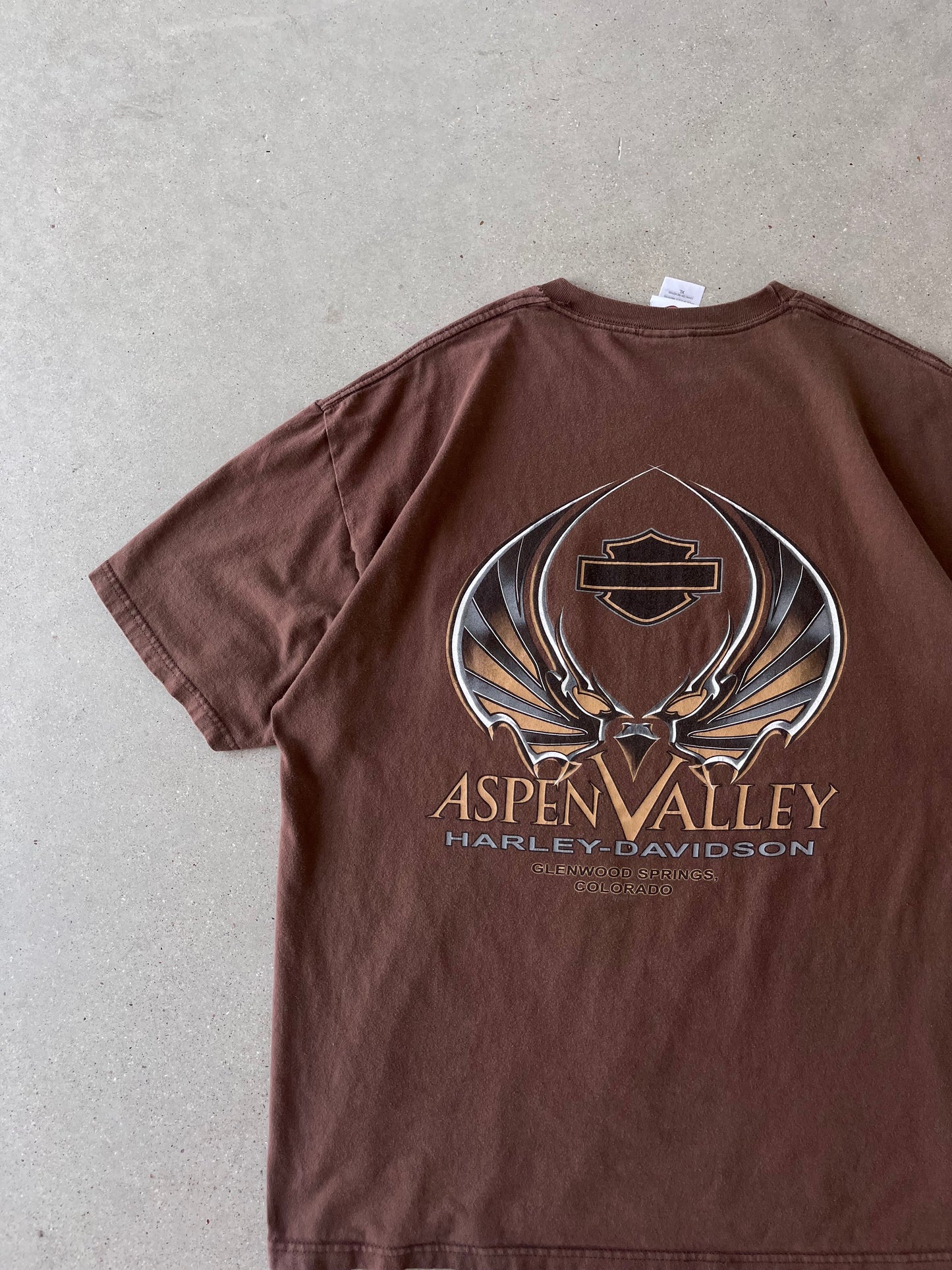 Vintage Aspen Valley Harley Davidson Tee - XL