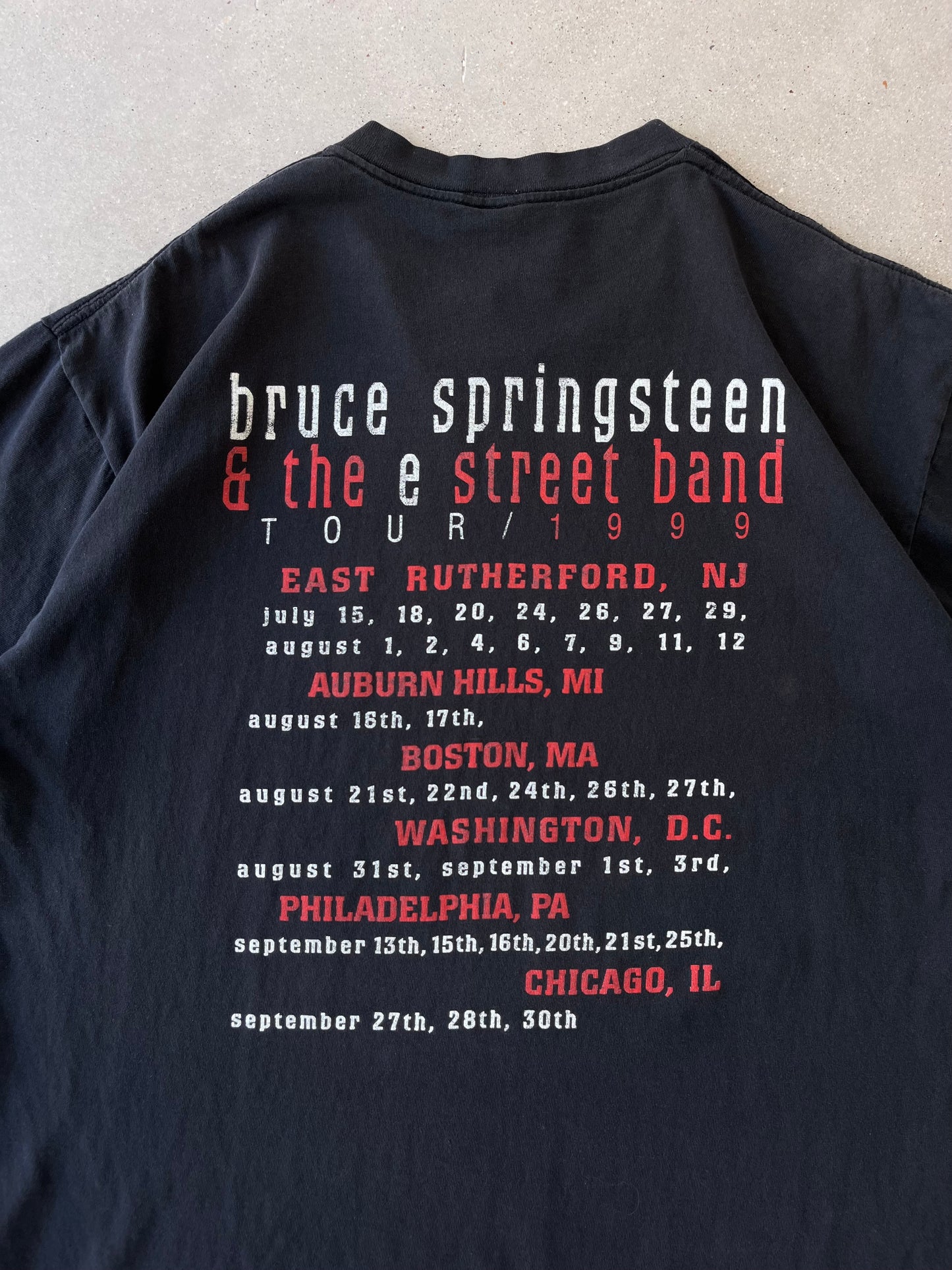 Vintage 1999 Bruce Springsteen Band Tee - XL