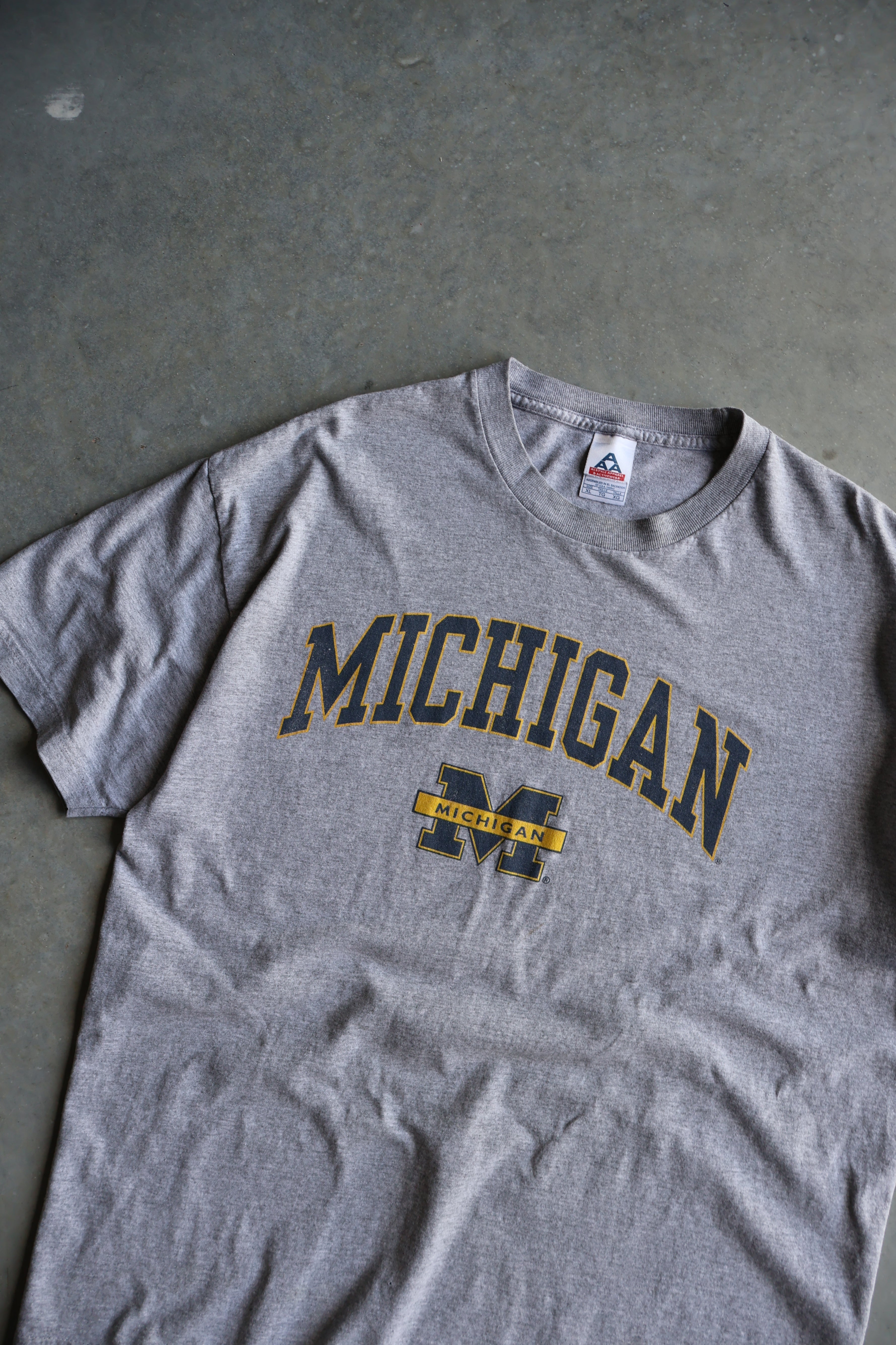 Vintage University of Michigan T-shirt (XL)