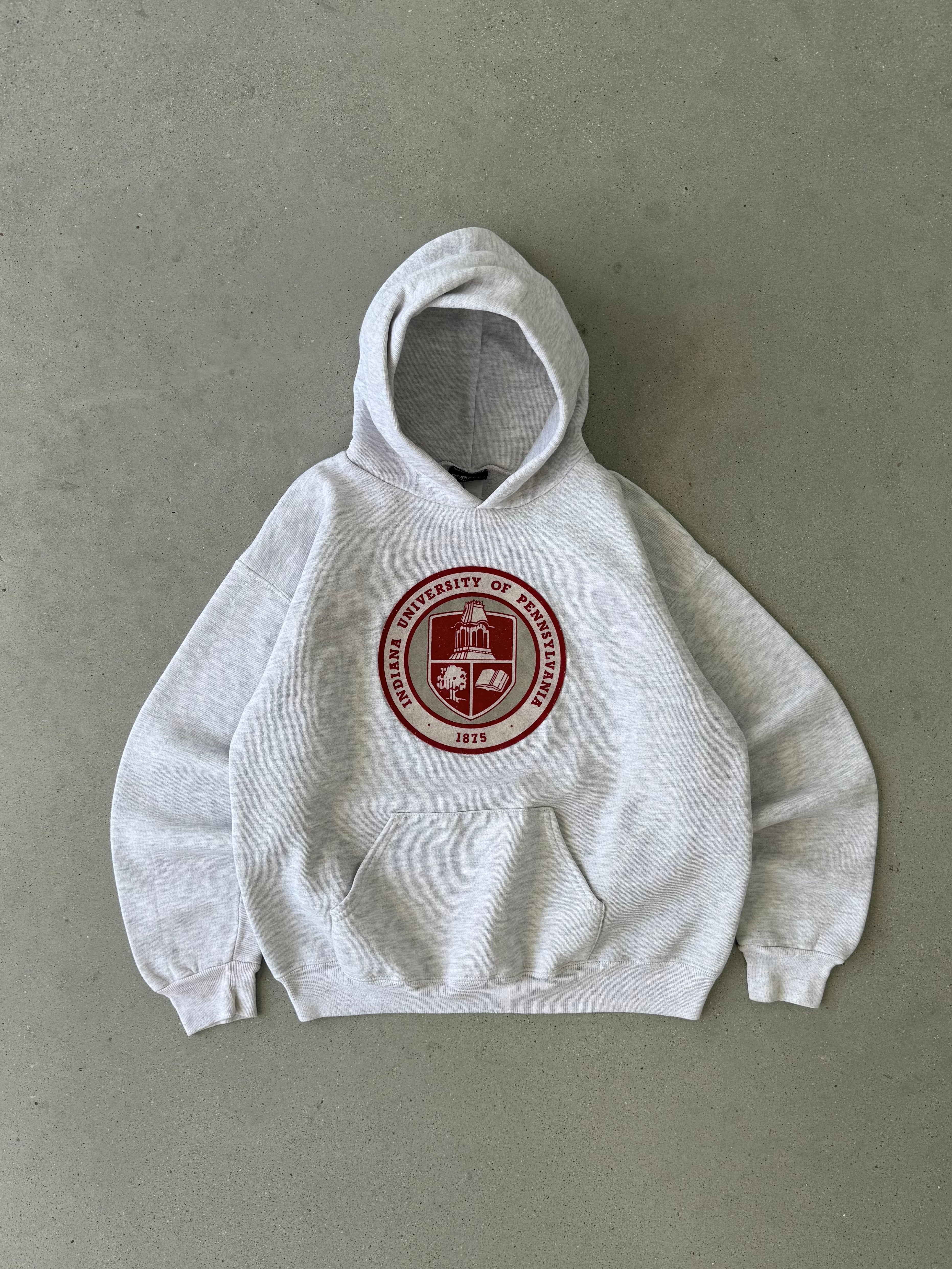 Vintage 90s University of Pennsylvania Hoodie - L