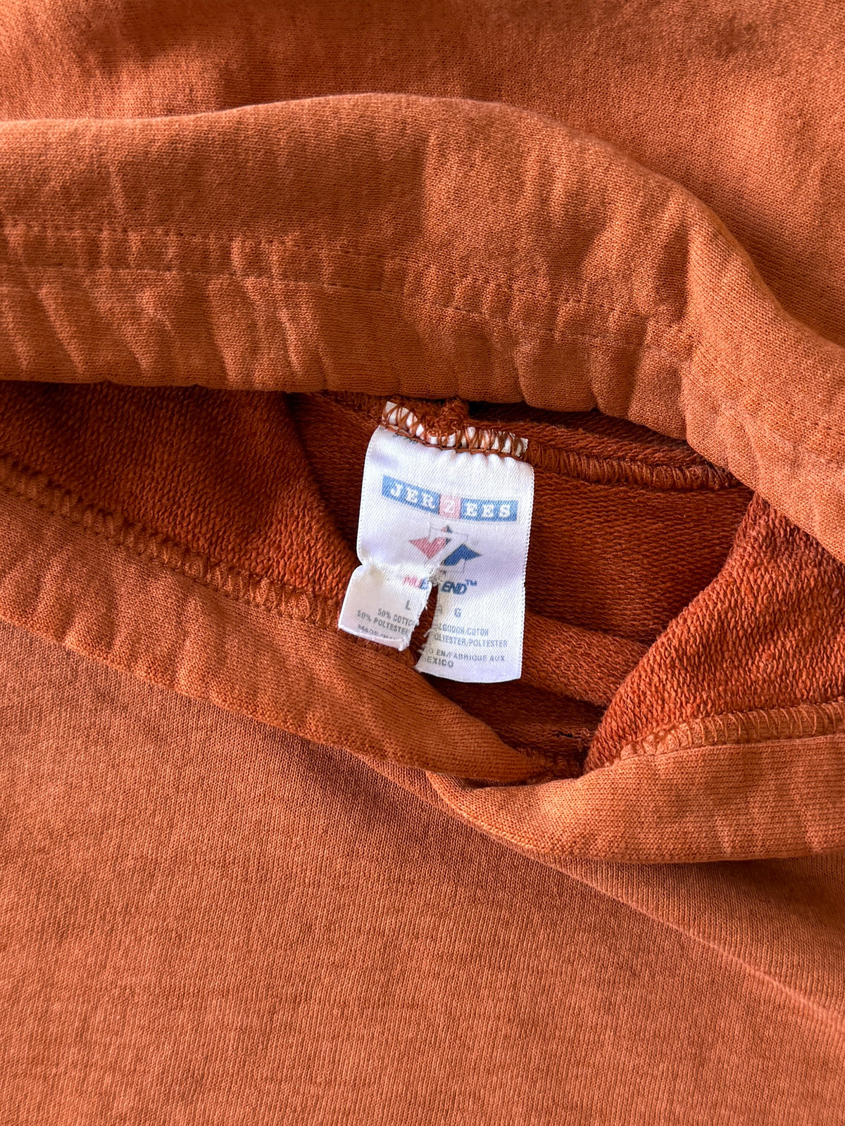Vintage 200s Burnt Orange Jerzees Hoodie (L)