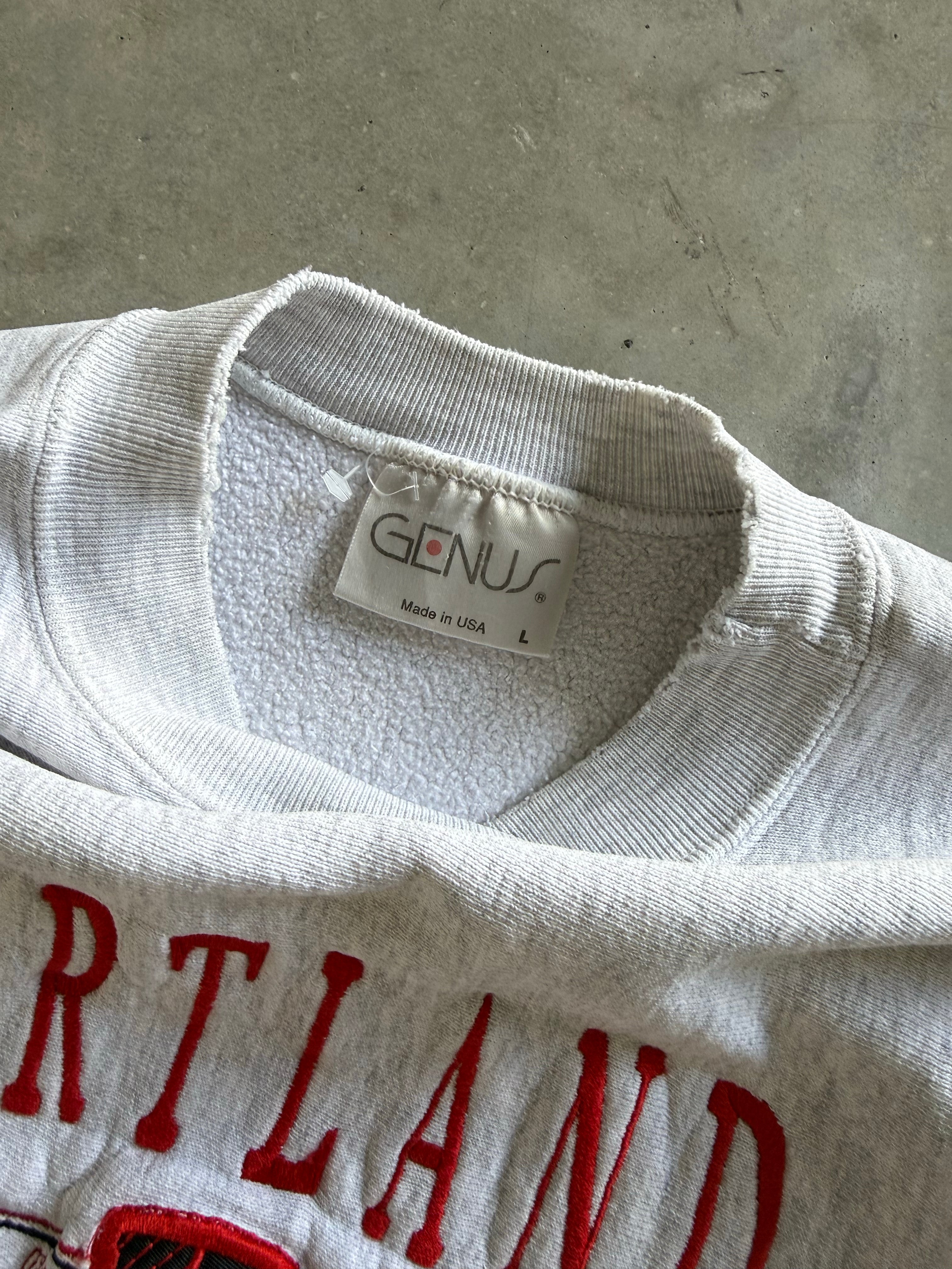 Vintage 90s (90s) Genuis Sweatshirt (L)