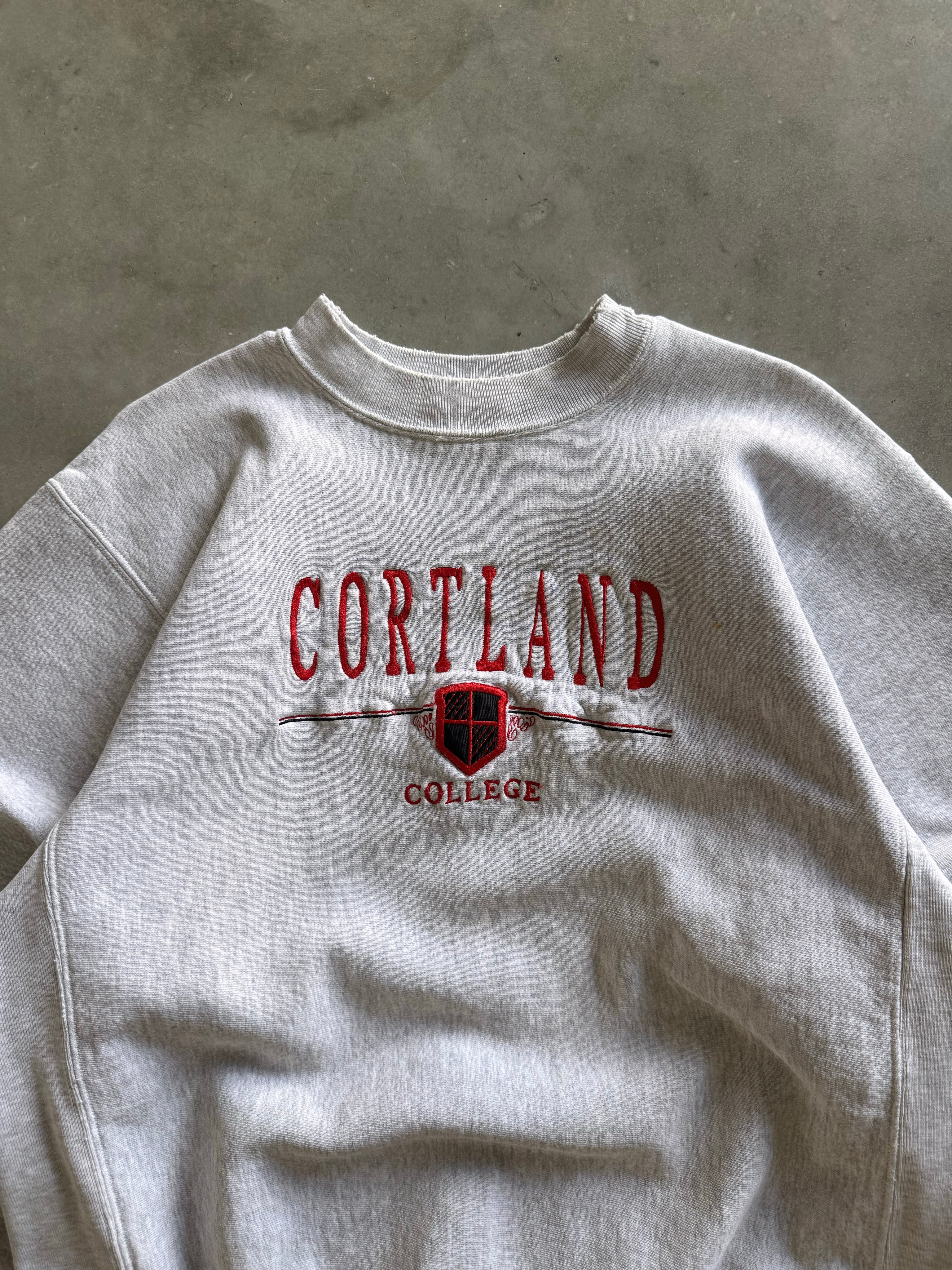 Vintage 90s (90s) Genuis Sweatshirt (L)