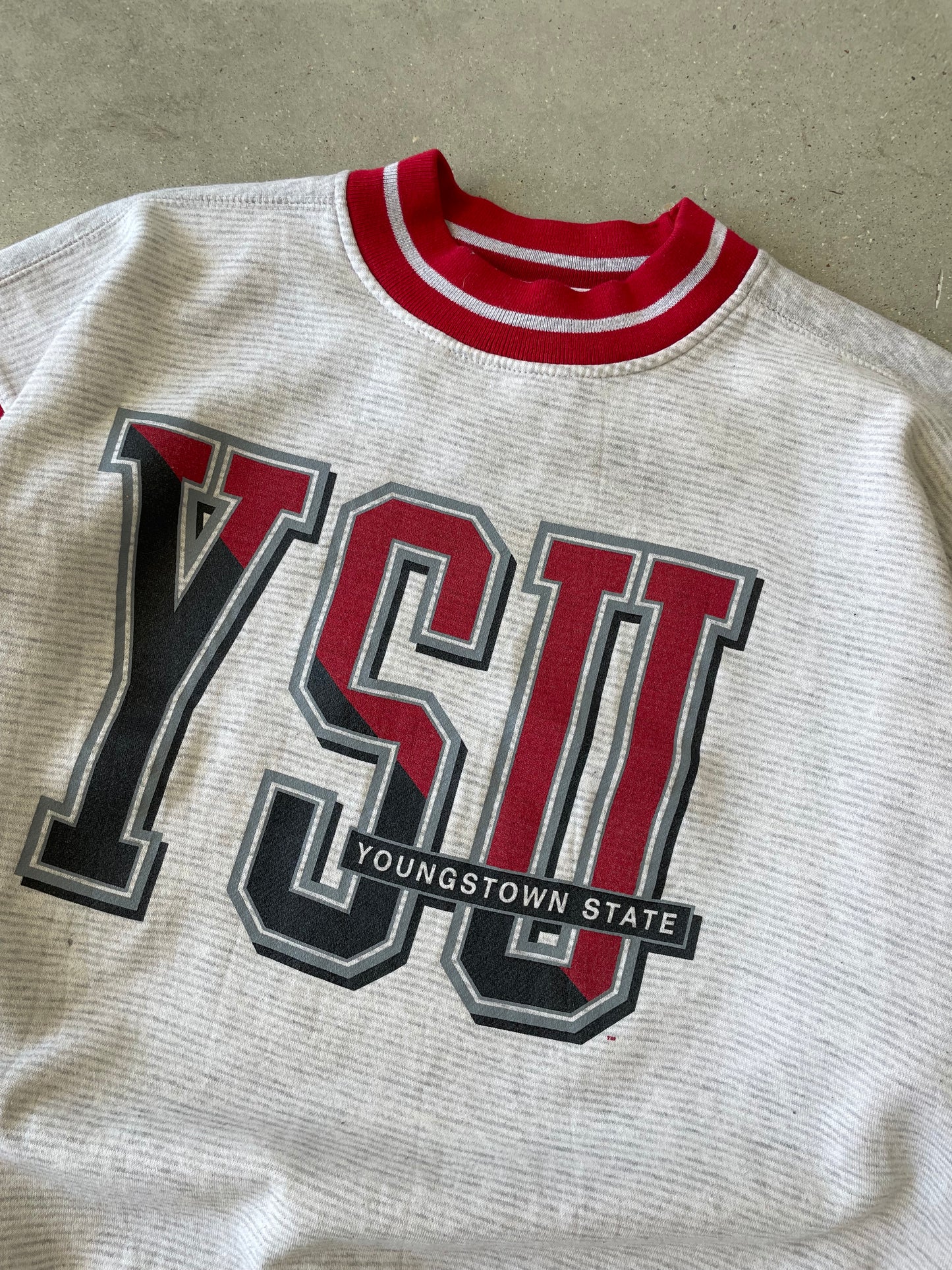 Vintage Youngstown State Sweatshirt - L